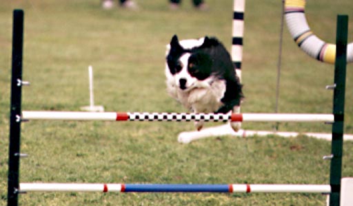 Spinner jump