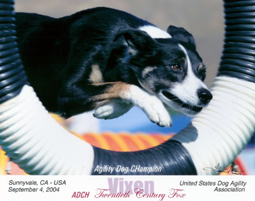Vixen ADCH